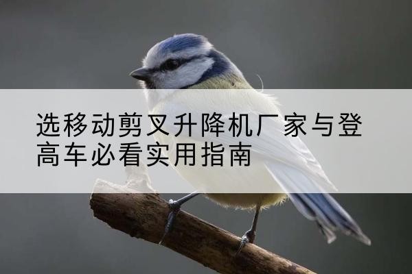 鸡冠电动升降机厂家-选移动剪叉升降机厂家与登高车必看实用指南