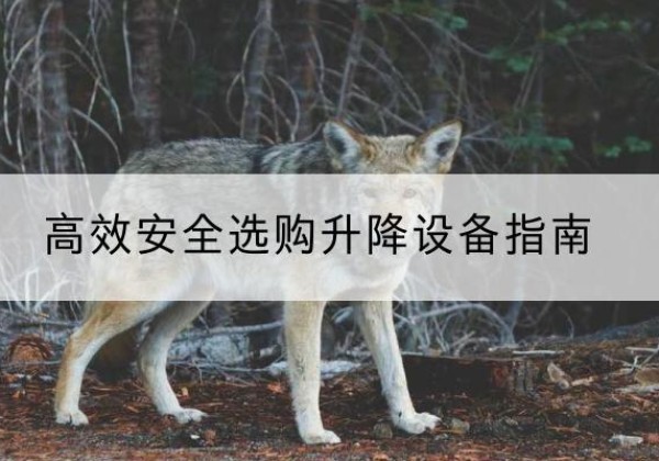鸡冠升降货梯厂家推荐-*安全选购升降设备指南