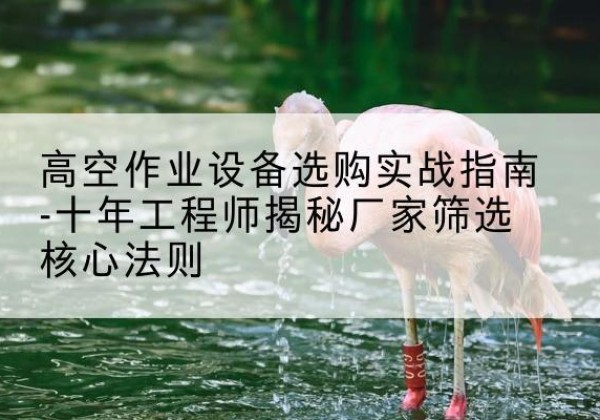 鸡冠剪叉式升降机厂家-高空作业设备选购实战指南-十年工程师揭秘厂家筛选核心法则